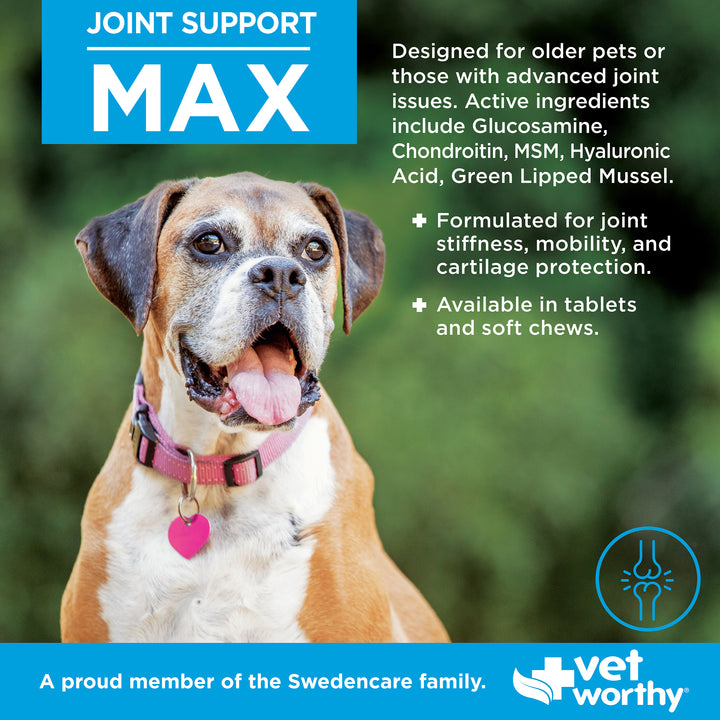Maxx Chews Joint Support Max Soft Chews 60 ct – Vet Worthy