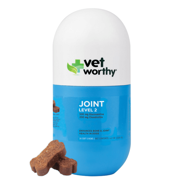 Joint Support Level 2 Soft Chews for Dogs - 30 ct