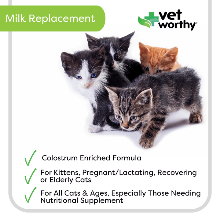 What to Give Mother Cats When Nursing: Top Nutrition Boosts