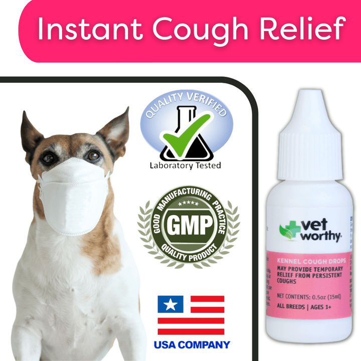 What Can You Give a Dog for Kennel Cough: Effective Remedies Revealed