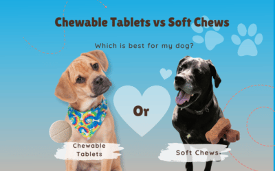 Chewable Tablets vs. Soft Chews: Which is Better for Your Dog?