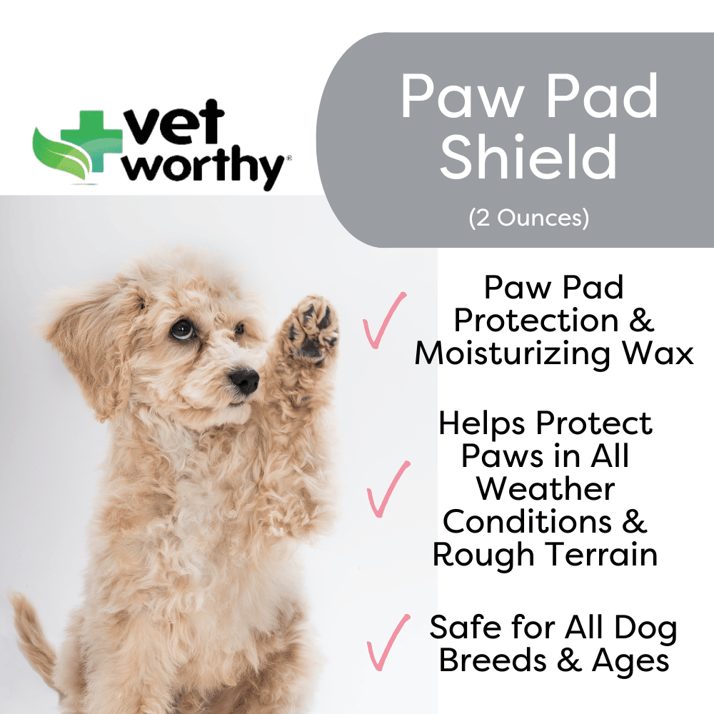 Paw & Nose Shield  Vet Worthy Dog and Cat Wellness Products